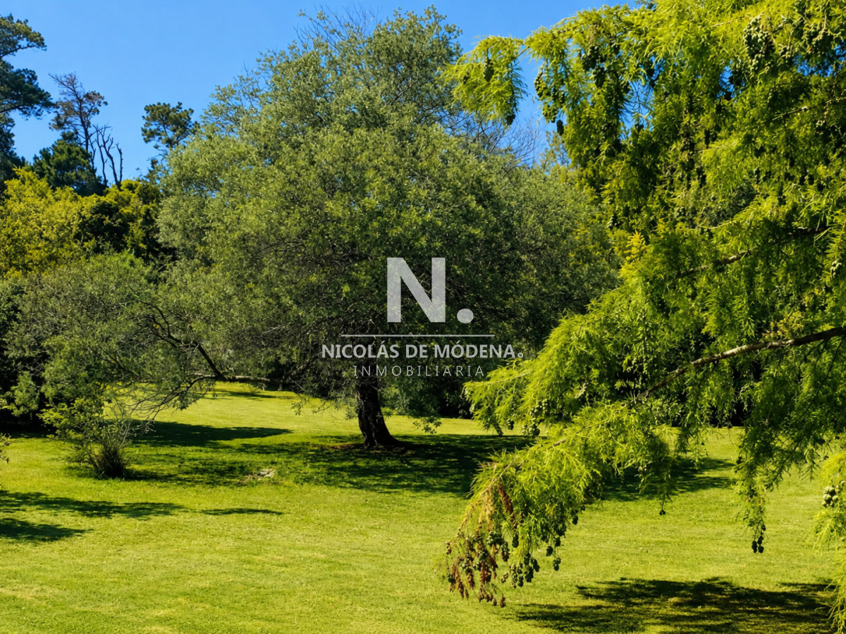 Chacra en Golf, propiedad 274648 -Imagen 6
