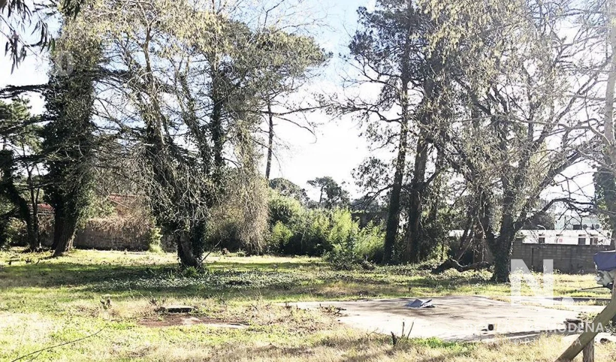 Terreno en Roosevelt, propiedad 27580 -Imagen 2