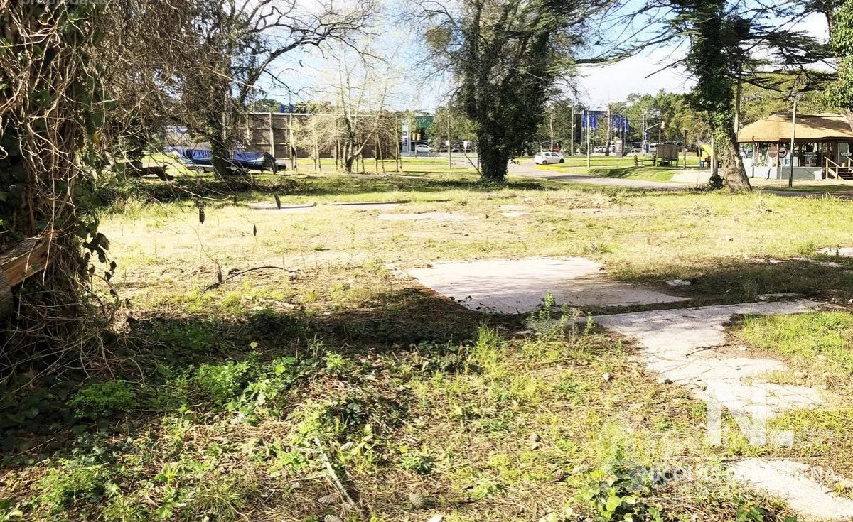 Terreno en Roosevelt, propiedad 27580 -Imagen 3