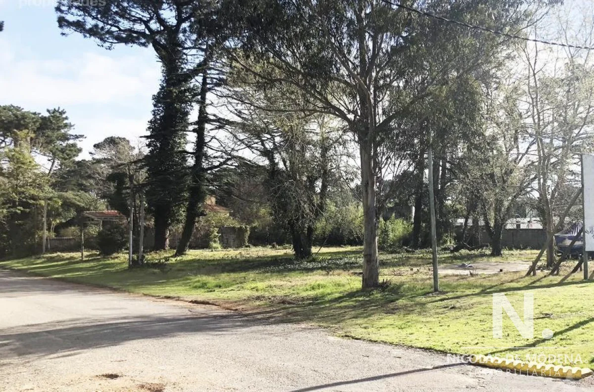 Terreno en Roosevelt, propiedad 27580 -Imagen 5