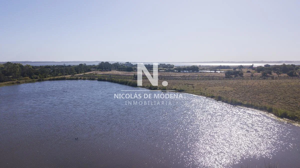 Chacra en José Ignacio, propiedad 28068 -Imagen 6