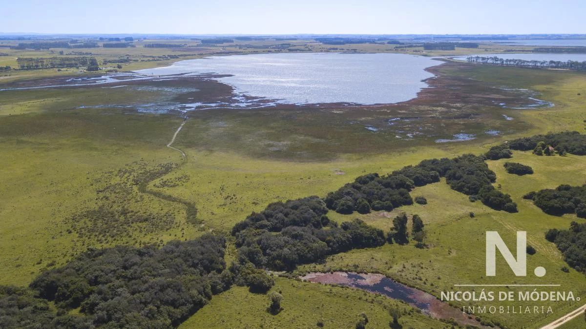 Chacra en José Ignacio, propiedad 28069 -Imagen 12