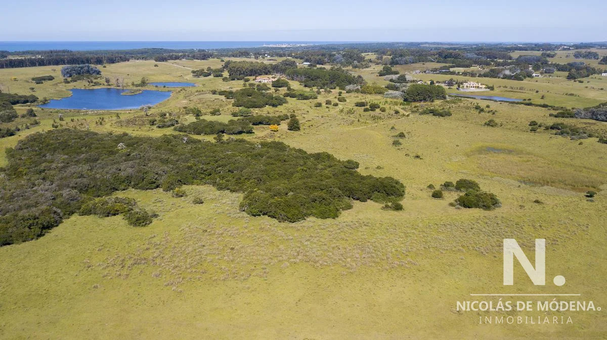 Chacra en José Ignacio, propiedad 28069 -Imagen 13