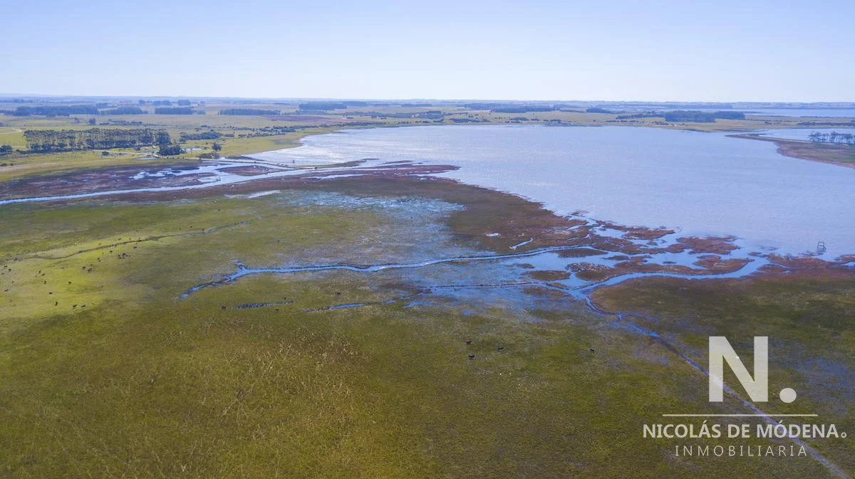 Chacra en José Ignacio, propiedad 28069 -Imagen 15
