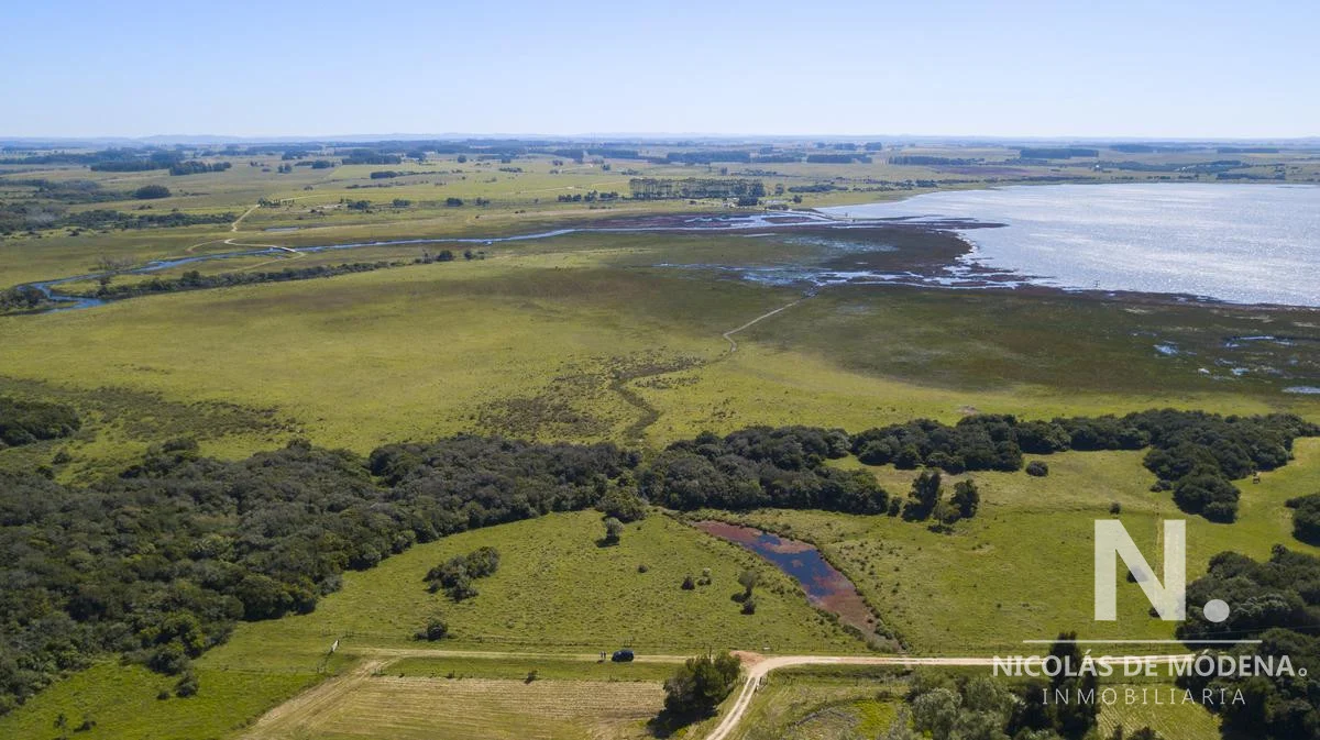 Chacra en José Ignacio, propiedad 28069 -Imagen 4