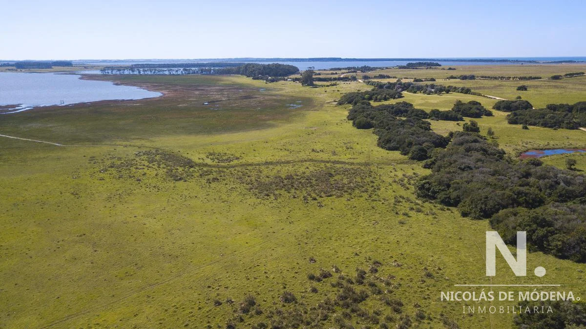Chacra en José Ignacio, propiedad 28069 -Imagen 7