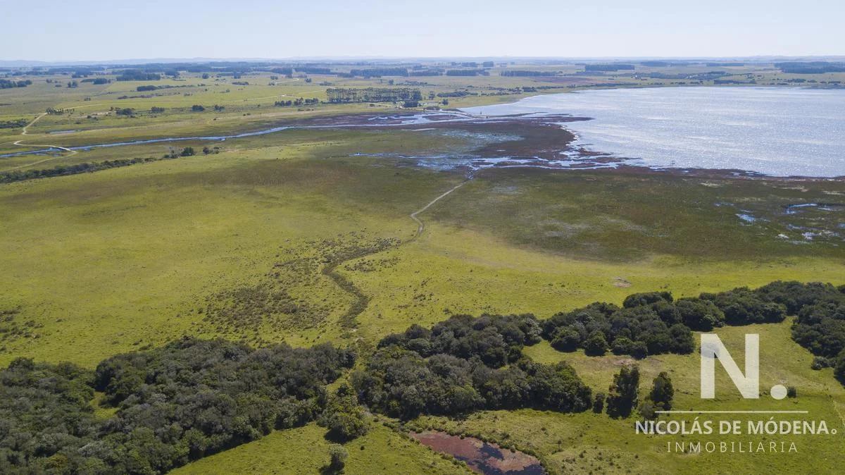 Chacra en José Ignacio, propiedad 28069 -Imagen 10