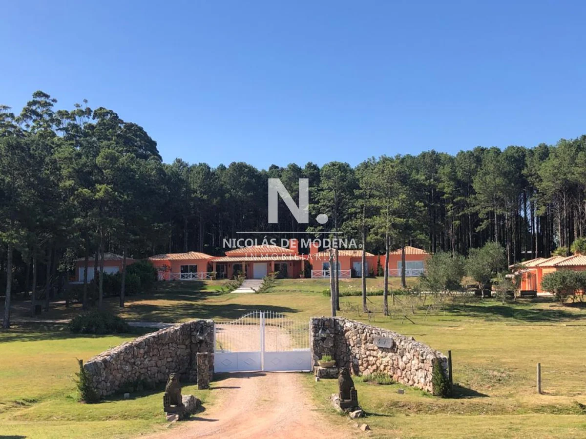 Casa en Punta Ballena, propiedad 291850 -Imagen 1