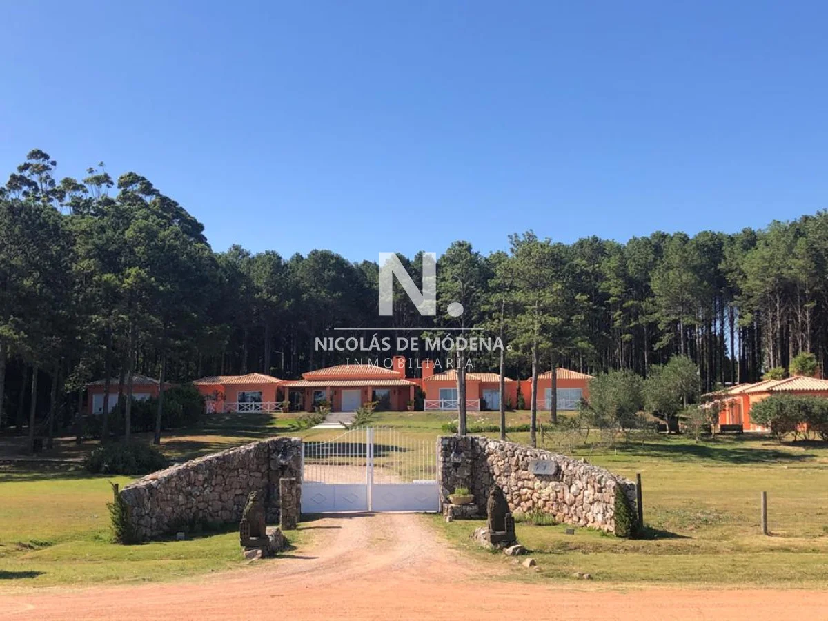 Casa en Punta Ballena, propiedad 291850 -Imagen 2