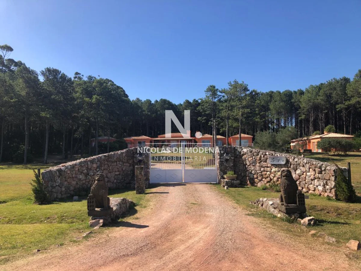 Casa en Punta Ballena, propiedad 291850 -Imagen 3
