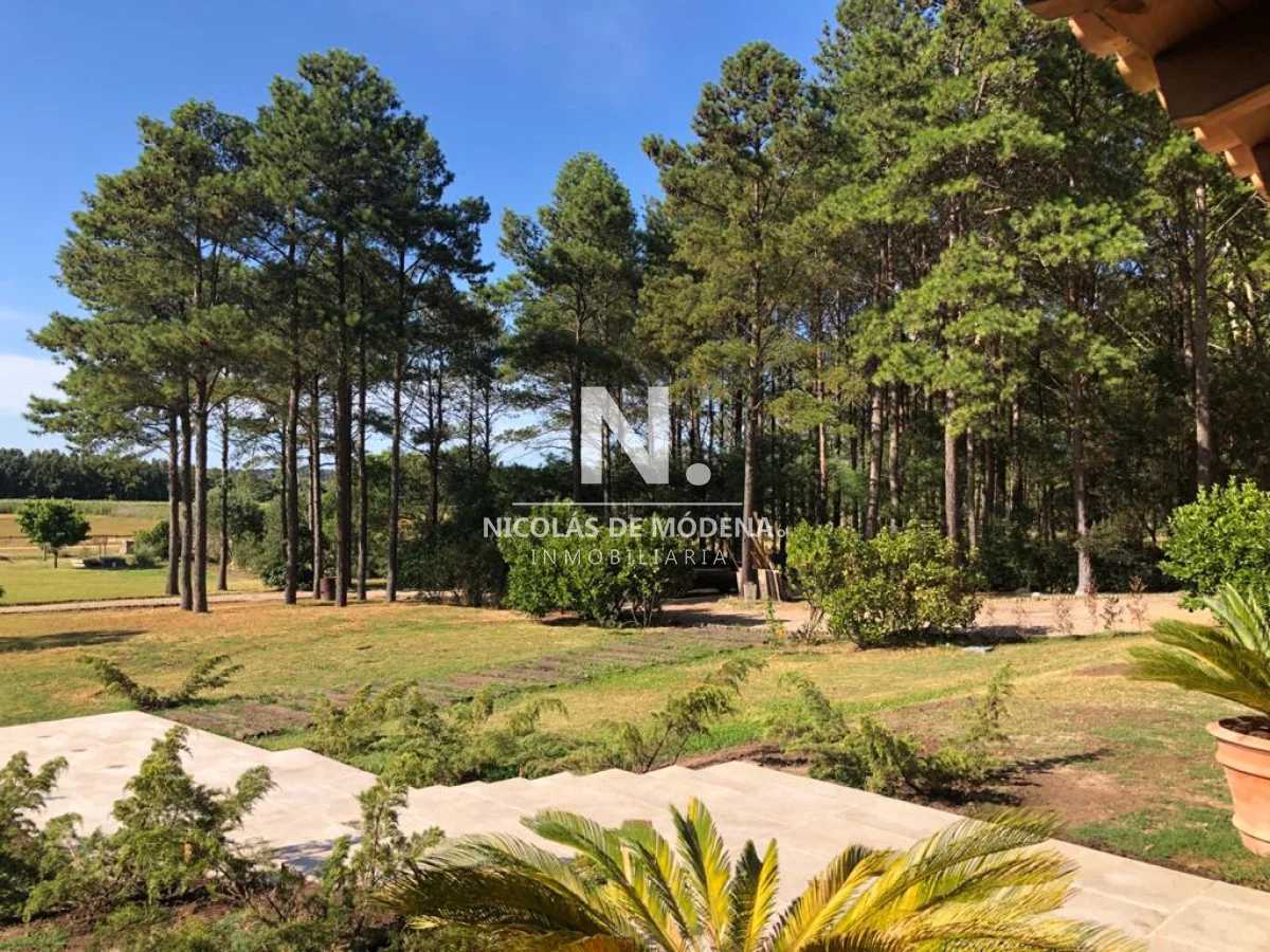 Casa en Punta Ballena, propiedad 291850 -Imagen 23