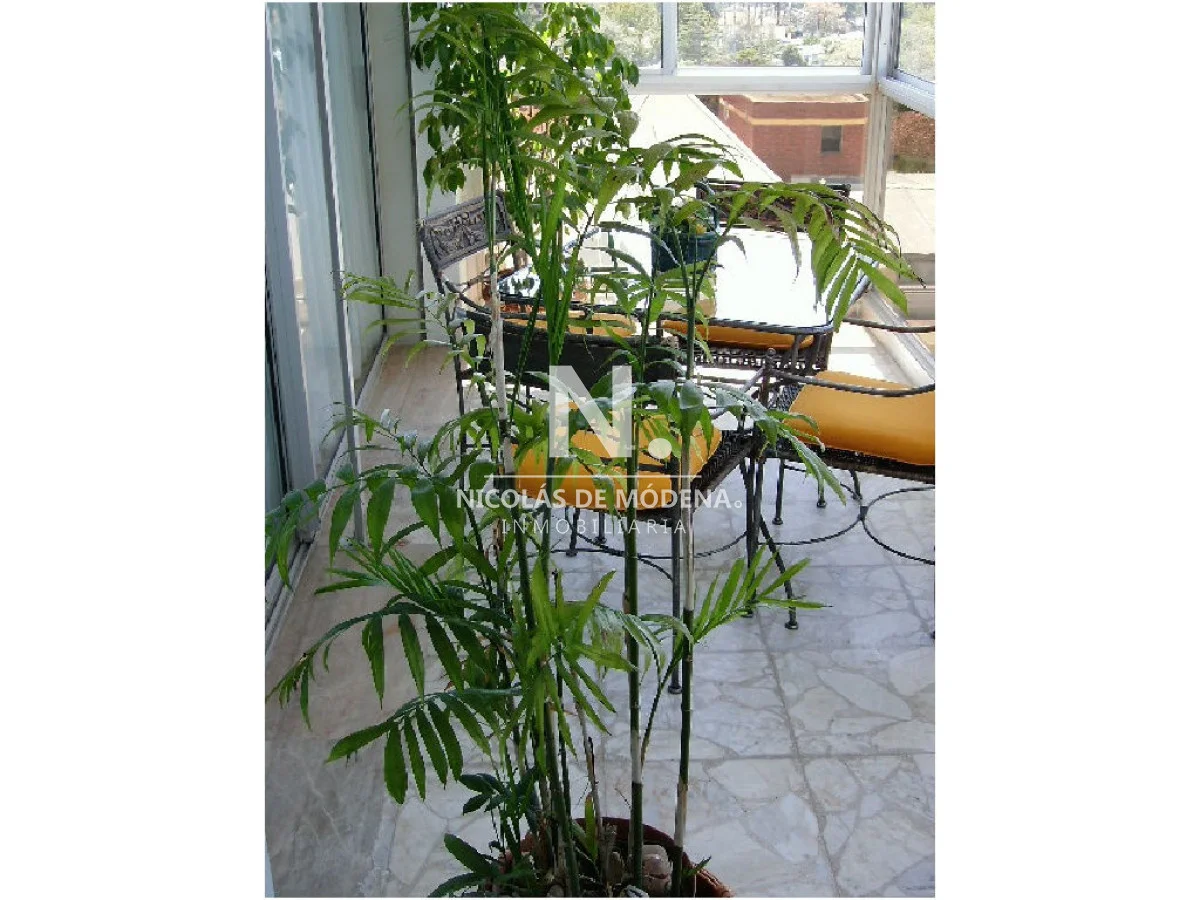 Apartamento en Playa Mansa, propiedad 36447 -Imagen 7