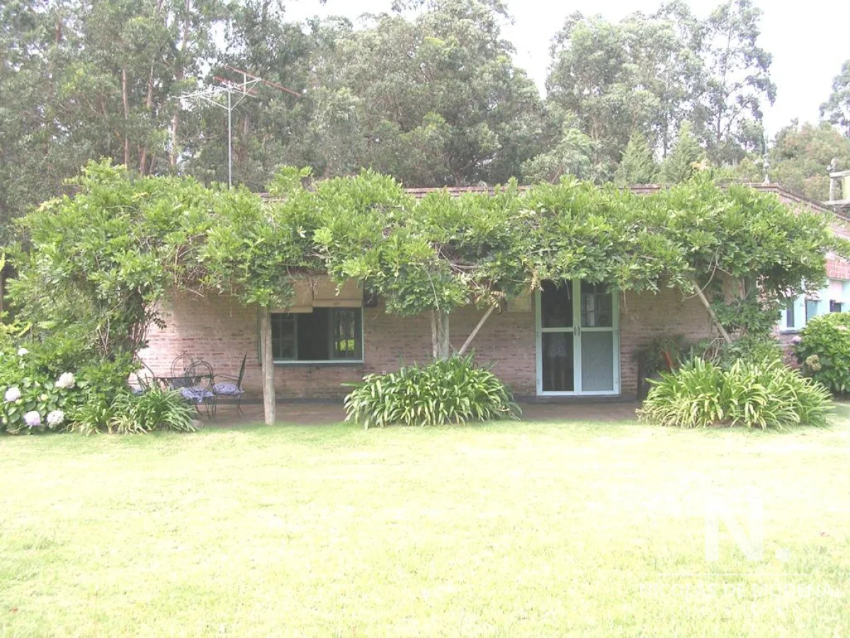 Chacra en Punta Ballena, propiedad 40111 -Imagen 1