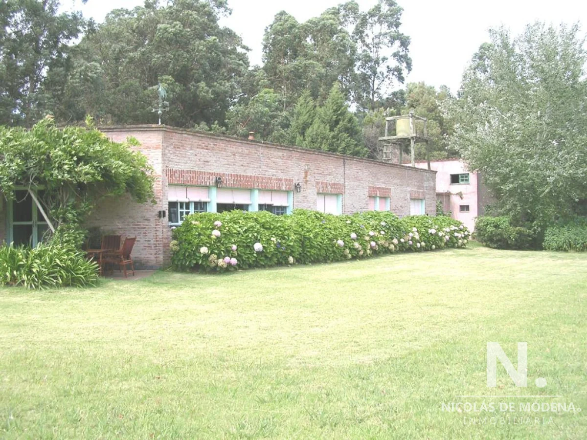 Chacra en Punta Ballena, propiedad 40111 -Imagen 2