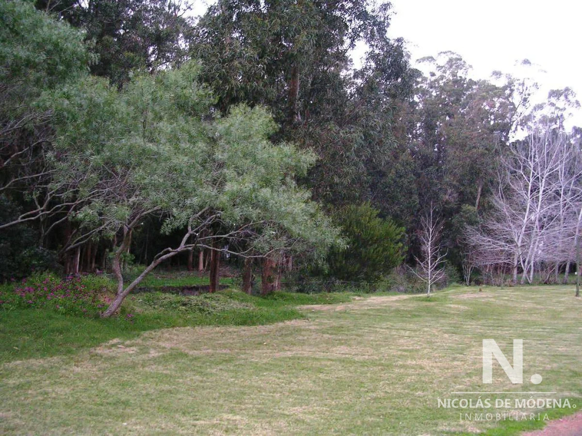 Chacra en Punta Ballena, propiedad 40111 -Imagen 6