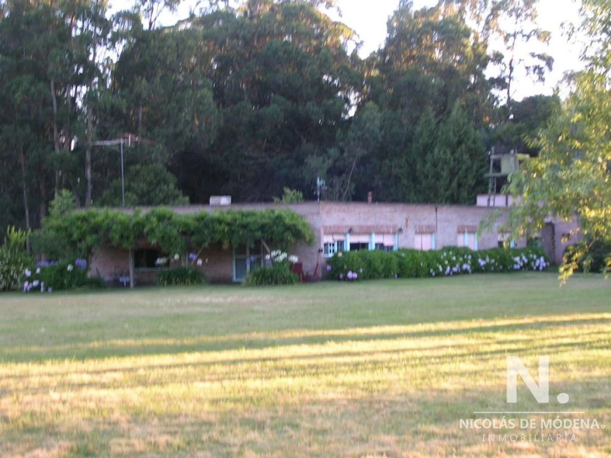Chacra en Punta Ballena, propiedad 40111 -Imagen 7