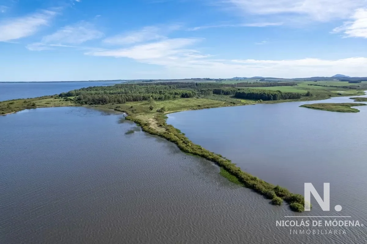 Chacra en Laguna del Sauce, propiedad 41572 -Imagen 11