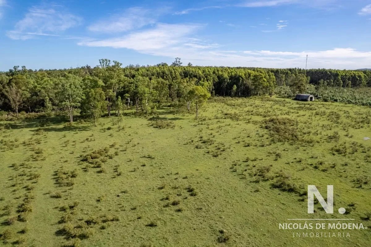 Chacra en Laguna del Sauce, propiedad 41572 -Imagen 3