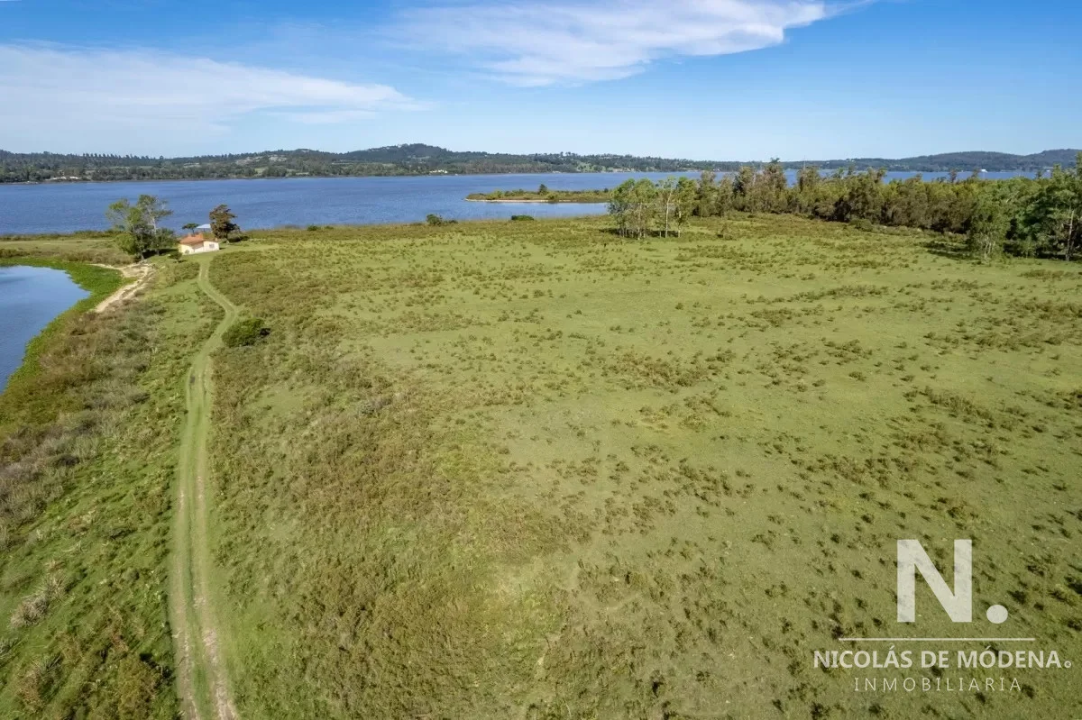 Chacra en Laguna del Sauce, propiedad 41572 -Imagen 6