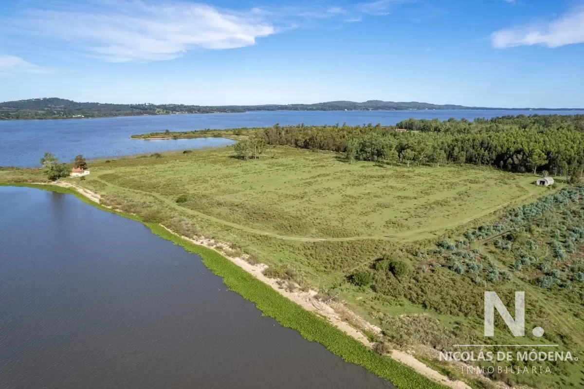 Chacra en Laguna del Sauce, propiedad 41572 -Imagen 7