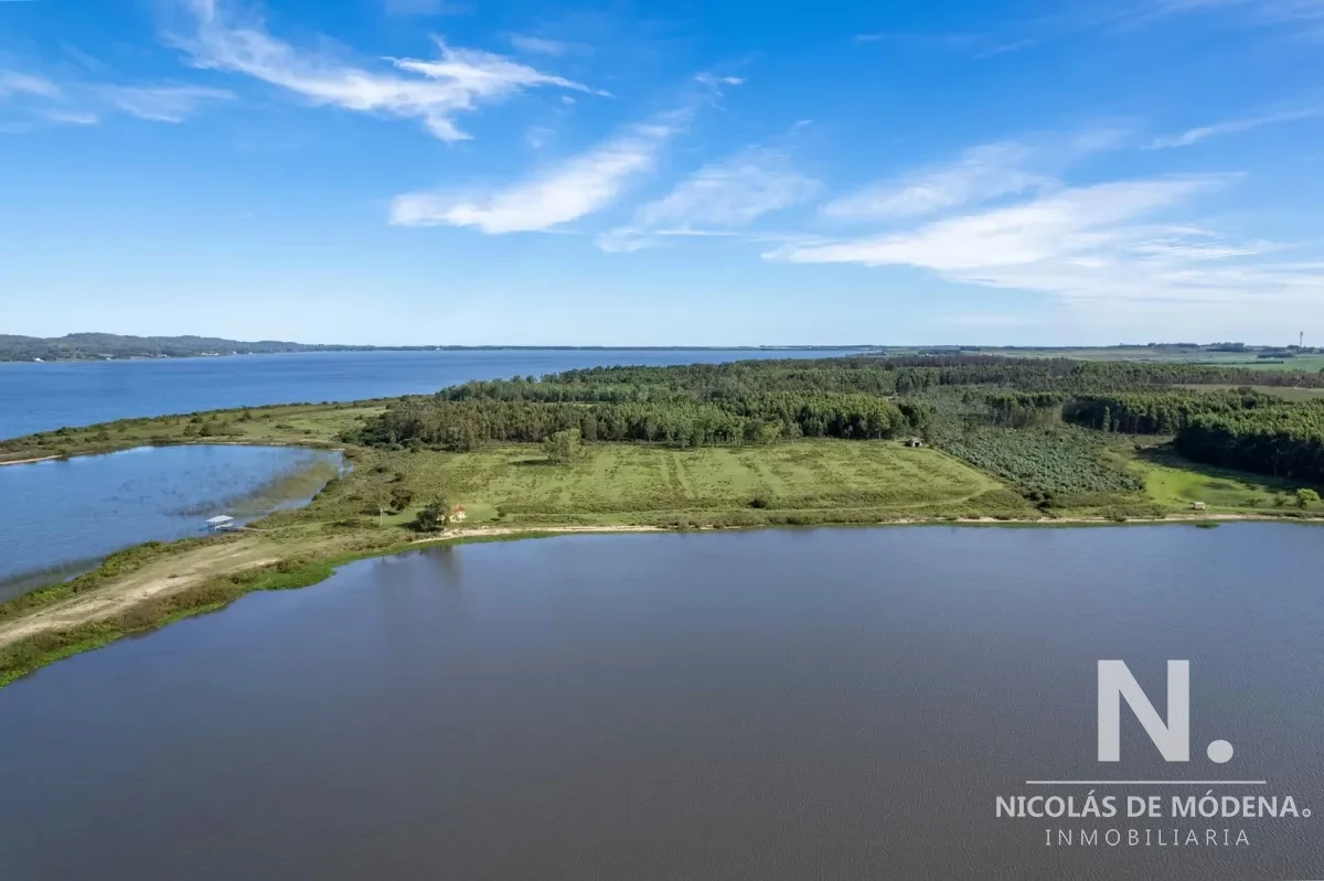 Chacra en Laguna del Sauce, propiedad 41572 -Imagen 10
