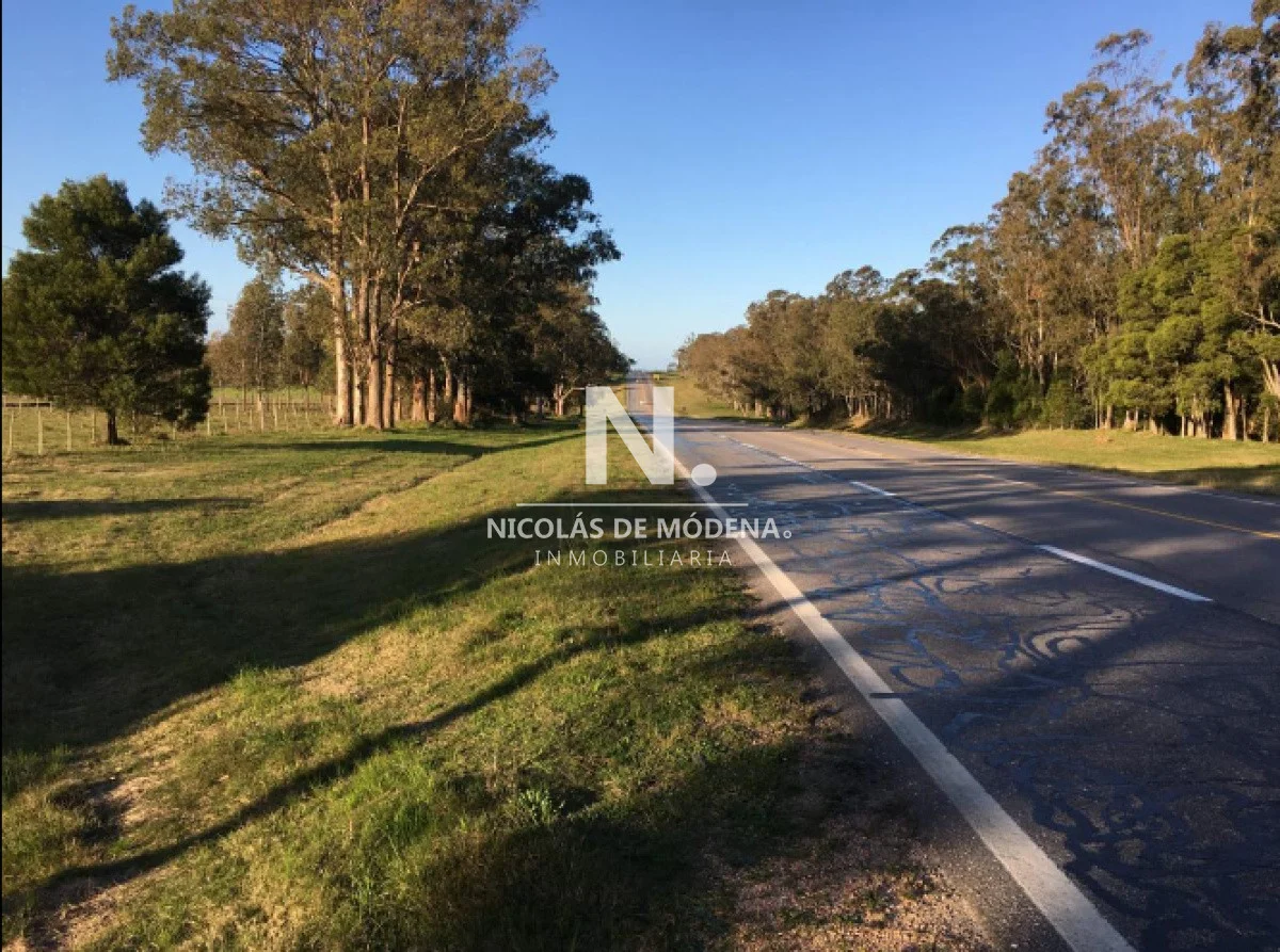 Chacra en José Ignacio, propiedad 41649 -Imagen 2
