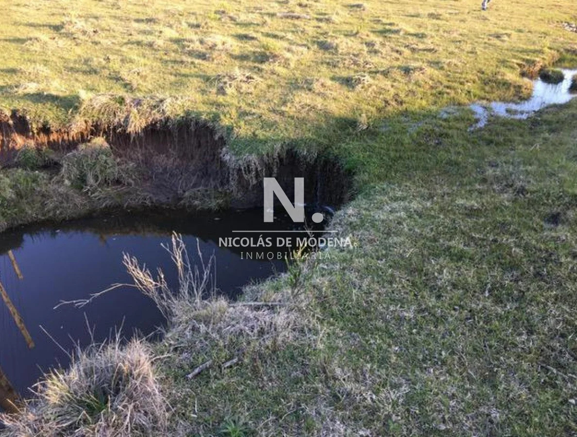 Chacra en José Ignacio, propiedad 41649 -Imagen 4