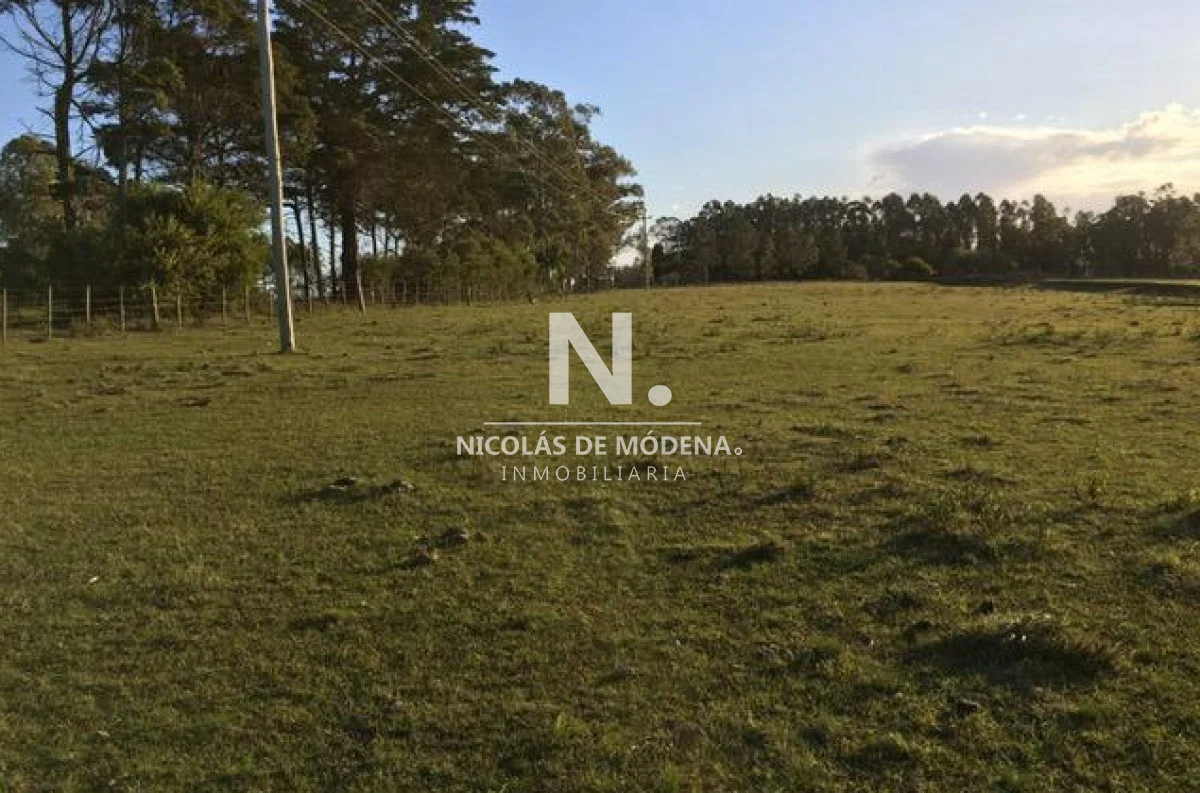 Chacra en José Ignacio, propiedad 41649 -Imagen 6