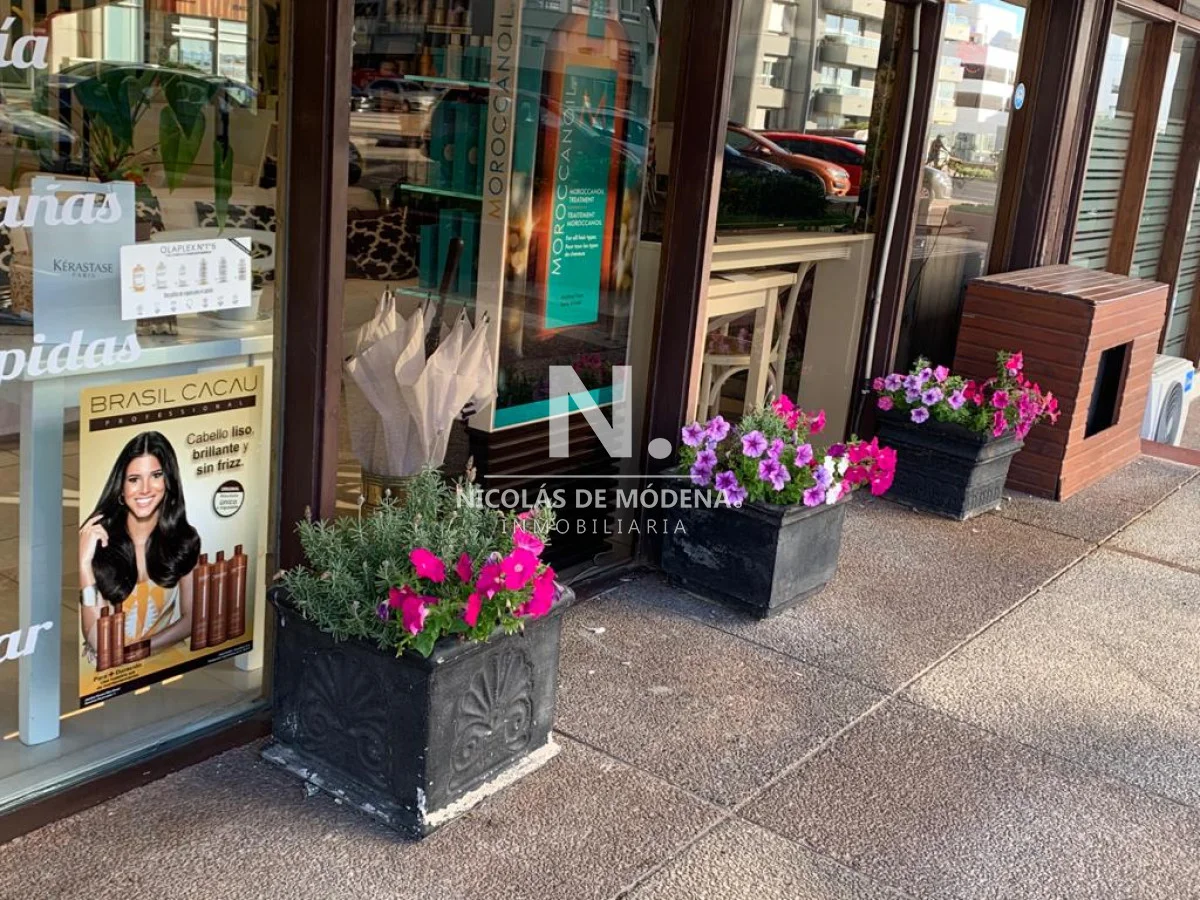 Local en Península, propiedad 41690 -Imagen 1