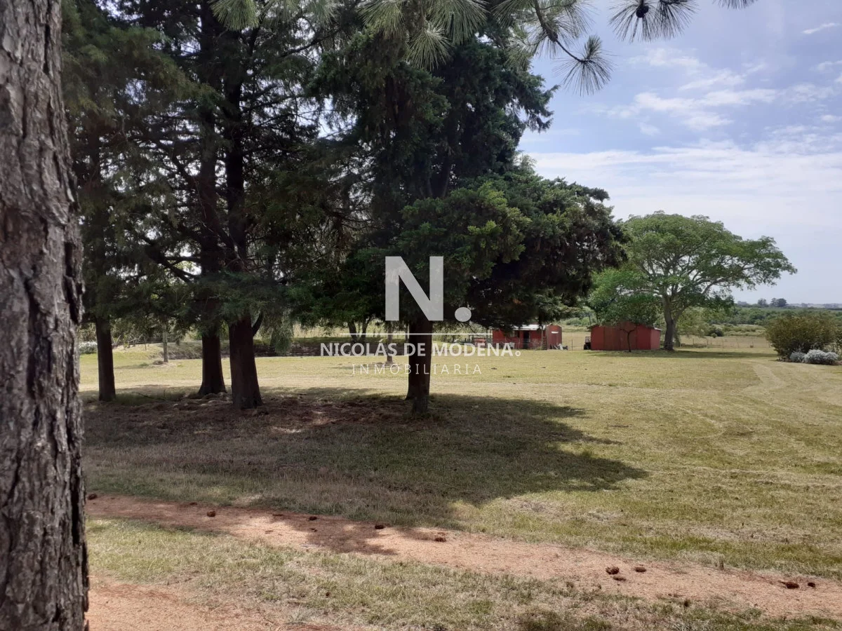 Chacra en Maldonado, propiedad 41752 -Imagen 2