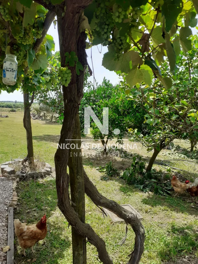 Chacra en Maldonado, propiedad 41752 -Imagen 12