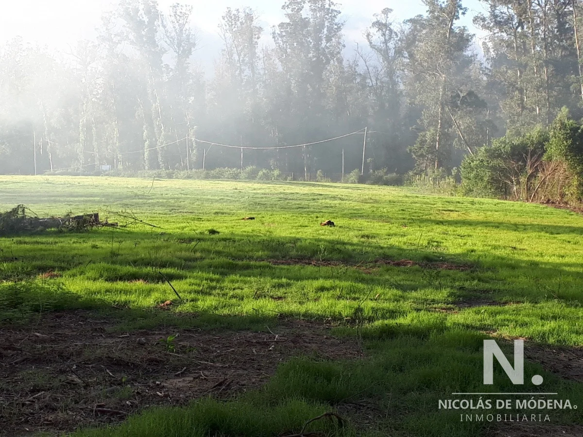 Terreno en Rincón del Indio, propiedad 55440 -Imagen 1