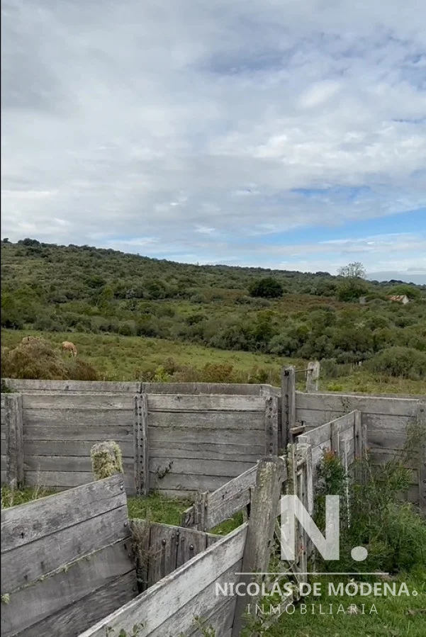 Chacra en Aigua, propiedad 57048 -Imagen 1