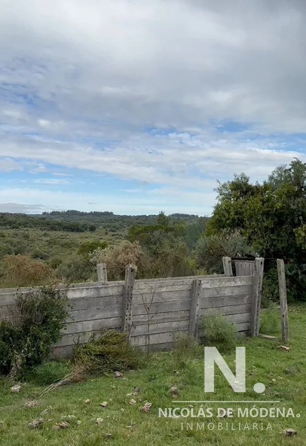 Chacra en Aigua, propiedad 57048 -Imagen 2