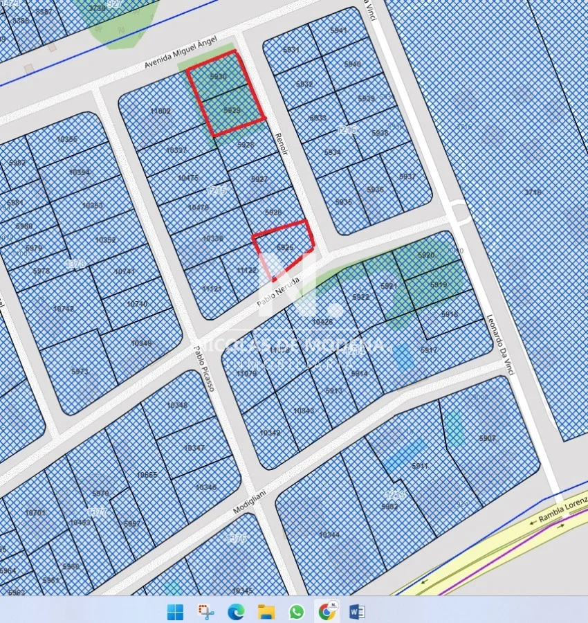 Terreno en San Rafael, propiedad 57539 -Imagen 3
