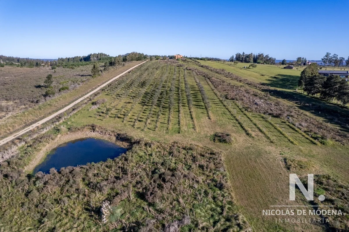 Chacra en Laguna del Sauce, propiedad 63824 -Imagen 11