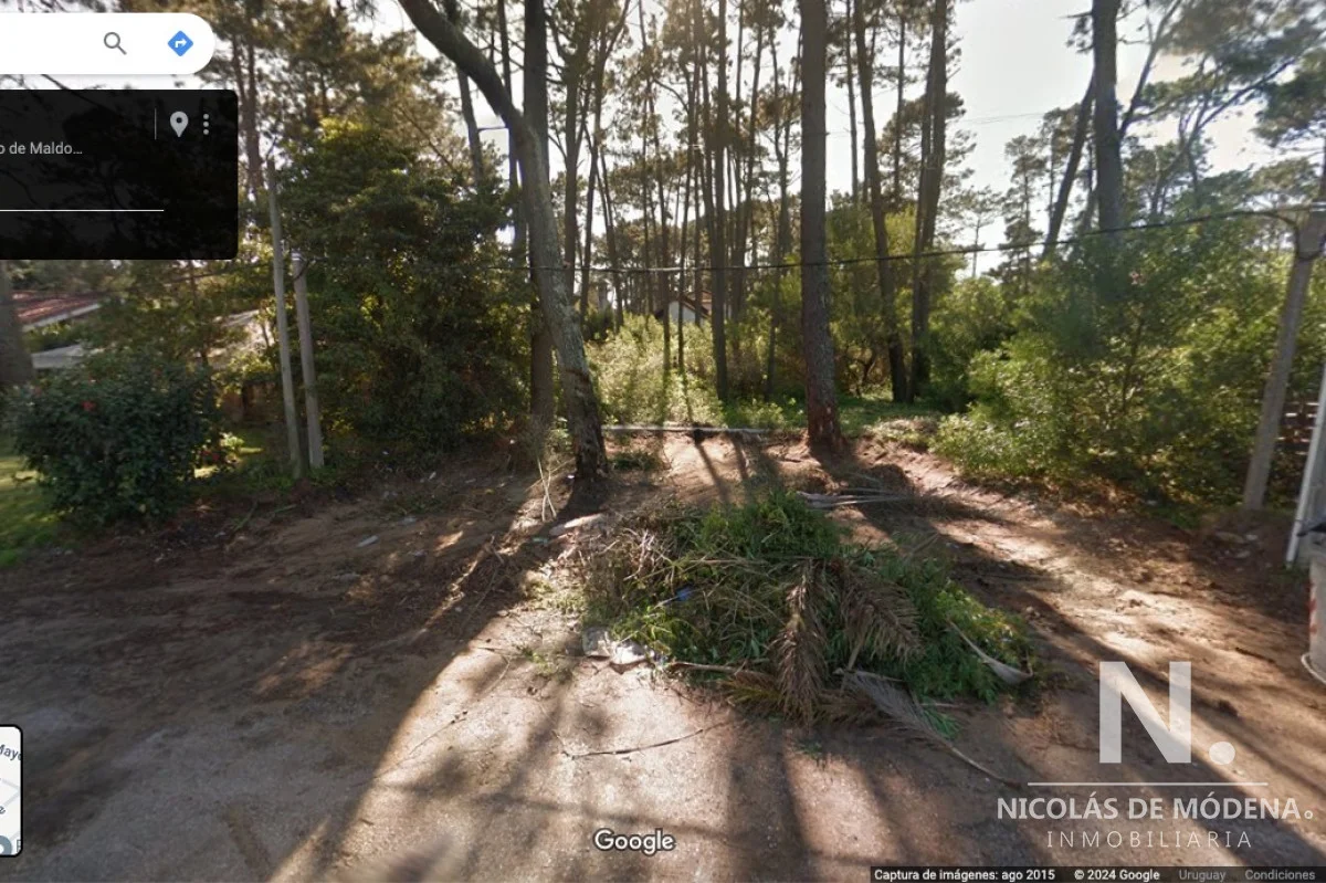 Terreno en Pinares, propiedad 73767 -Imagen 1