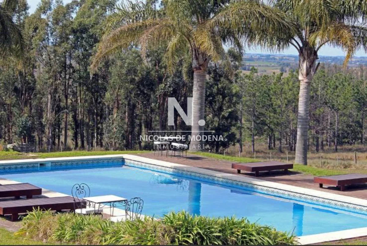 Chacra en Punta Ballena, propiedad 77780 -Imagen 8