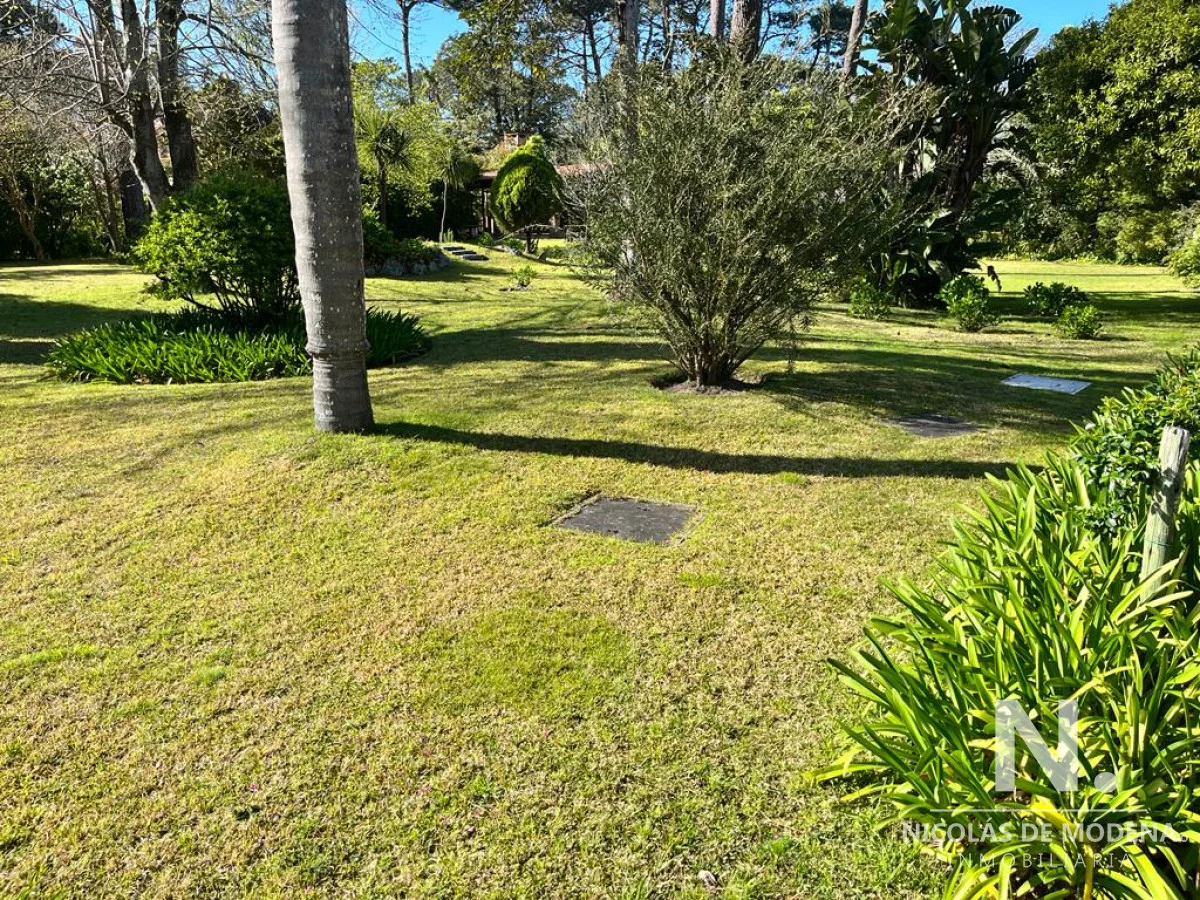 Terreno en Playa Mansa, propiedad 82402 -Imagen 4