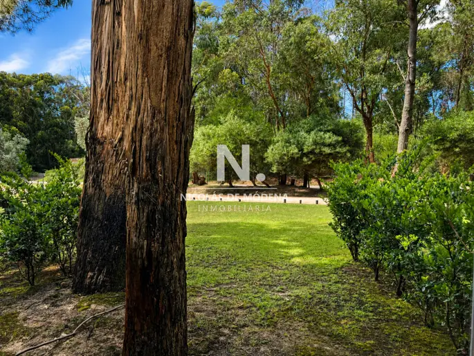 En venta en Solanas, Punta ballena monoambiente con vista a agradable entorno
