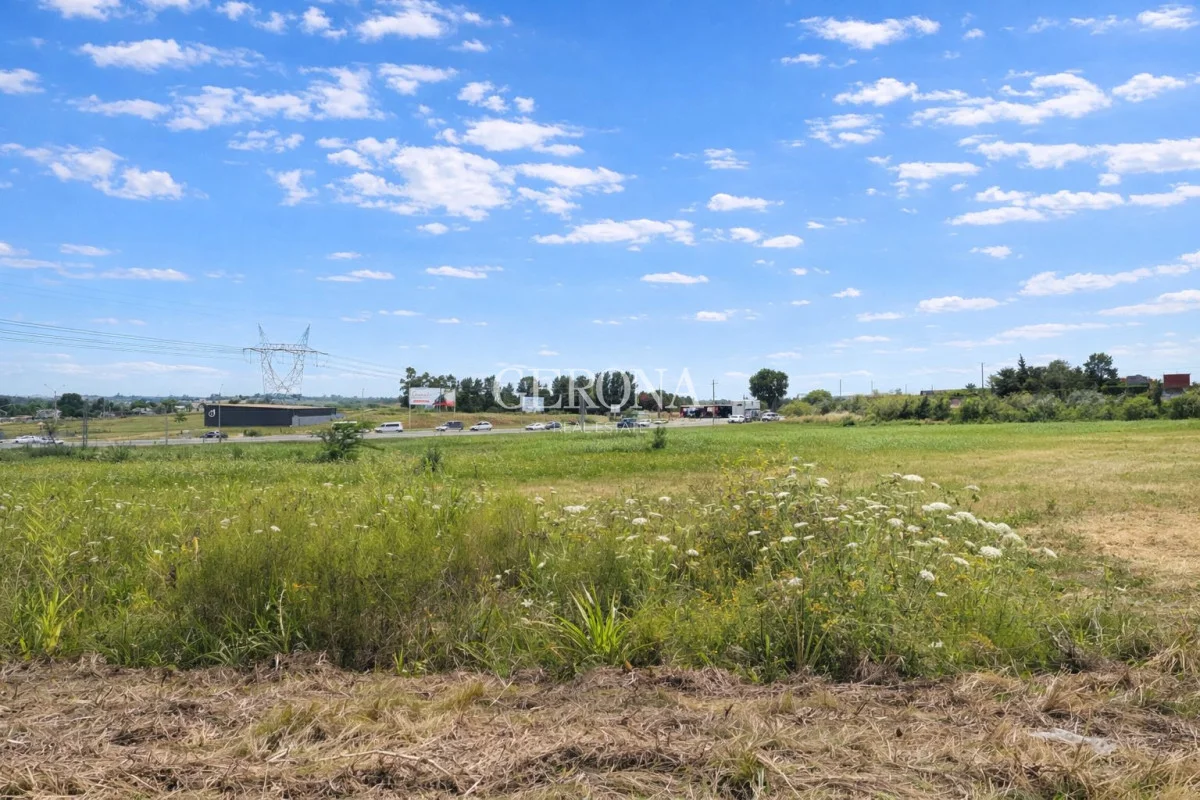 Terreno en Villa García, propiedad 243074 -Imagen 3