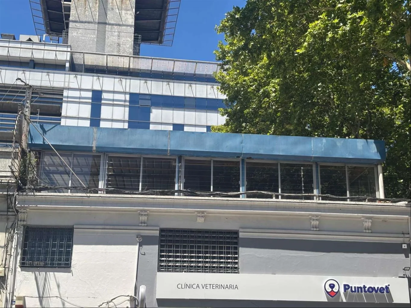 Depósito en Cordón, propiedad 246221 -Imagen 1