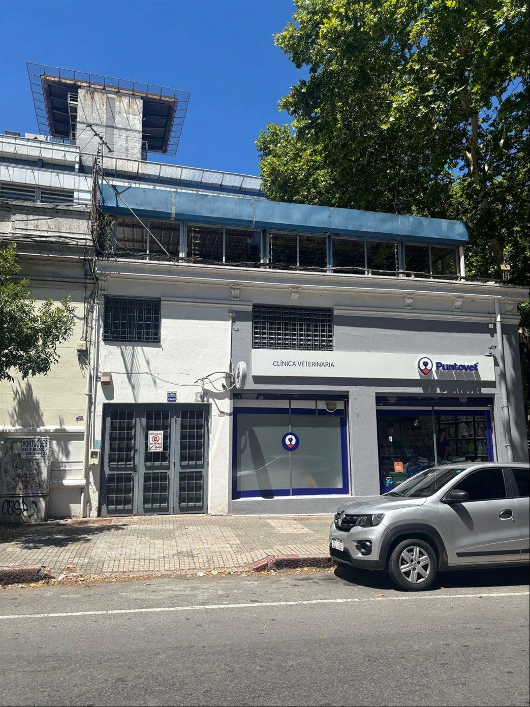 Depósito en Cordón, propiedad 246221 -Imagen 2