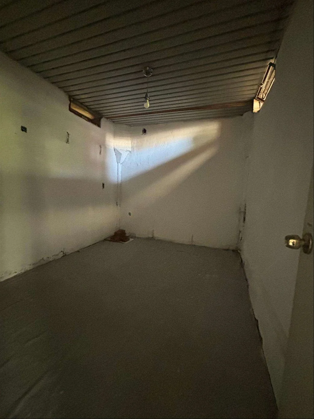 Depósito en Cordón, propiedad 246221 -Imagen 4