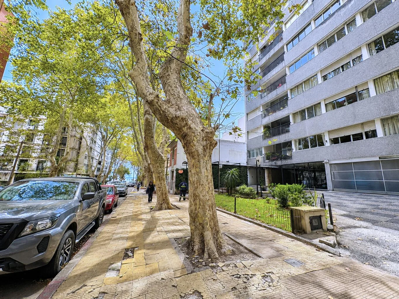 Apartamento en Punta Carretas, propiedad 273417 -Imagen 20