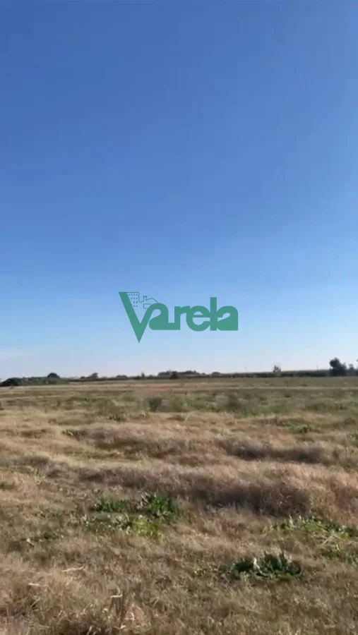 Terreno en Las Piedras, propiedad 212132 -Imagen 11