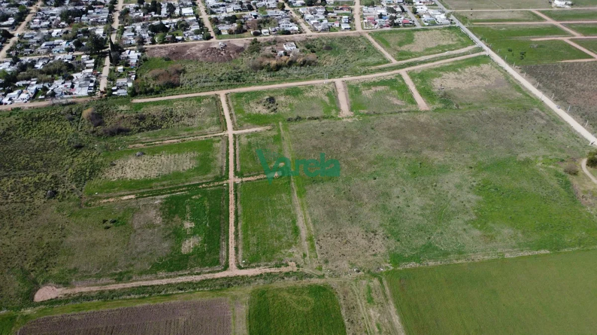 Terreno en Las Piedras, propiedad 212132 -Imagen 4