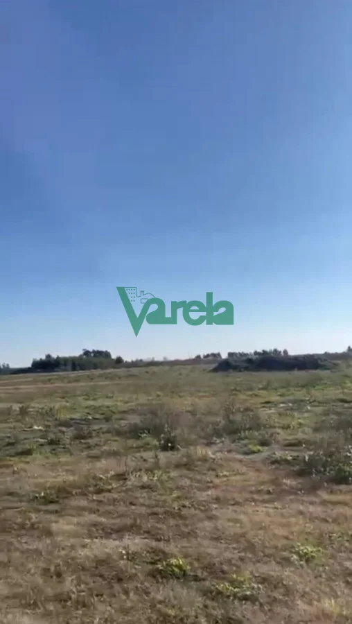 Terreno en Las Piedras, propiedad 212132 -Imagen 7