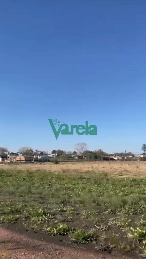 Terreno en Las Piedras, propiedad 212132 -Imagen 8