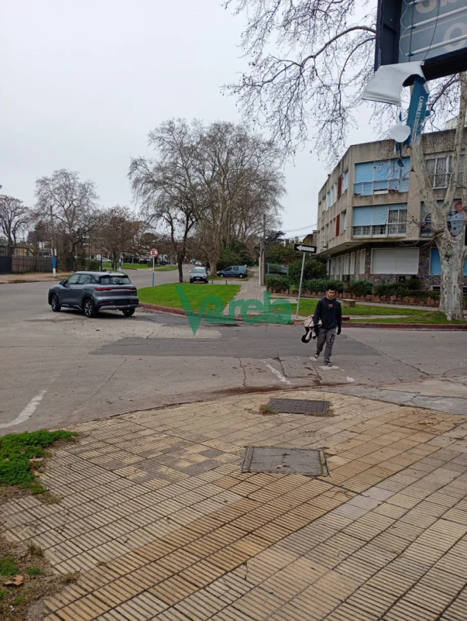 Terreno en Malvín, propiedad 288657 -Imagen 14